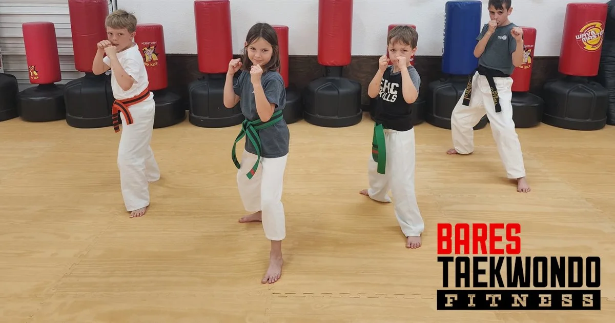 Bares Taekwondo Fitness business photo