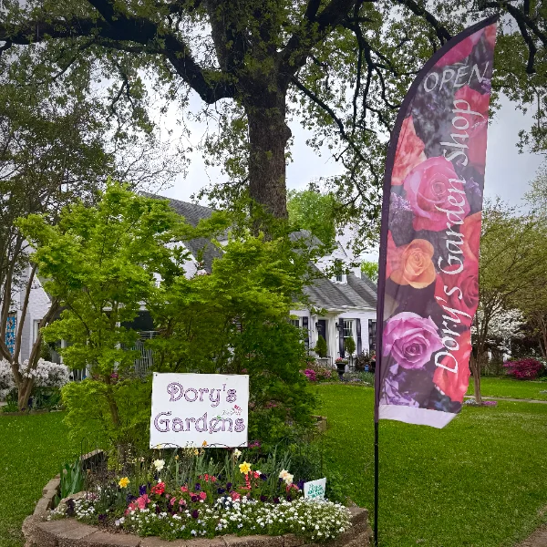 Dory's Gardens, business photo 2